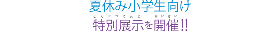 夏休み小学生向け 特別展示を開催!!